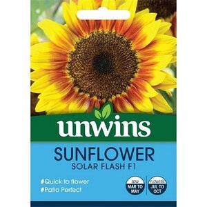 Sunflower Solar Flash F1