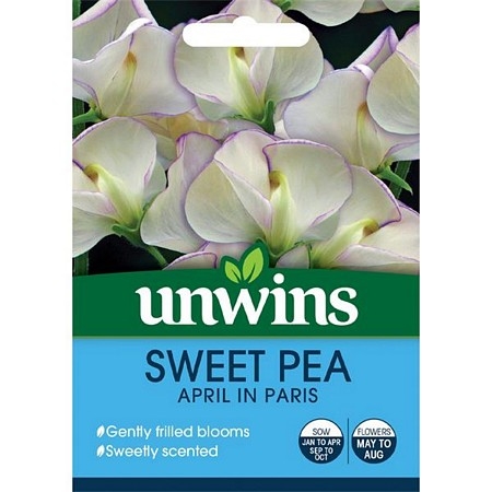 Sweet Pea April in Paris