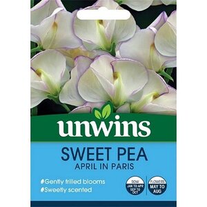 Sweet Pea April in Paris