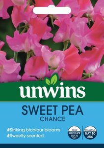Sweet Pea Chance