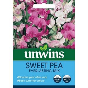 Sweet Pea Everlasting Mix