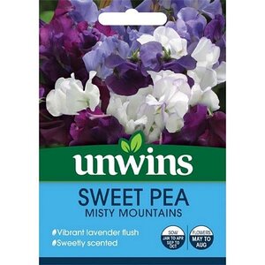 Sweet Pea Misty Mountains