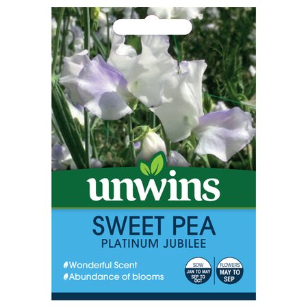 Sweet Pea Platinum Jubilee