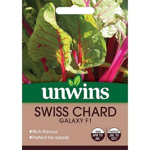 Swiss Chard Galaxy F1