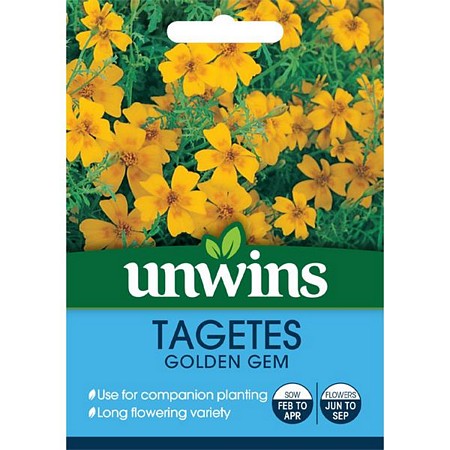 Tagetes Golden Gem