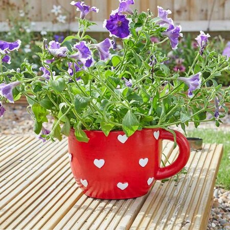 Teacup Heart Planter