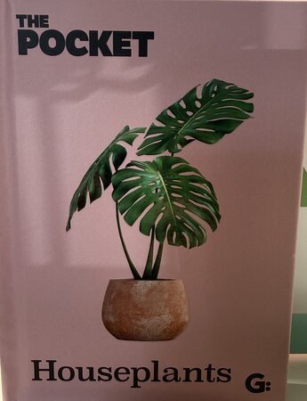 The Pocket Houseplants - image 1