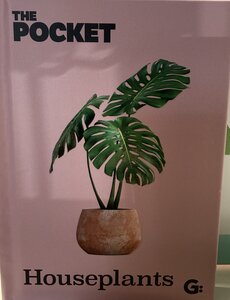 The Pocket Houseplants
