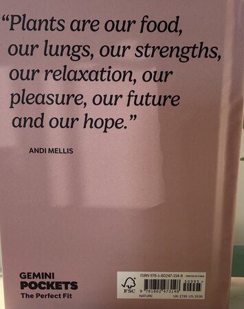 The Pocket Houseplants - image 2