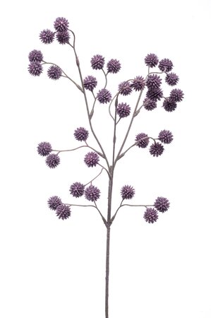 Thistle spray 70cm lt purple