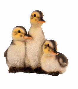 Three Resting Ducklings