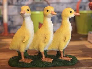 Three Standing Ducklings