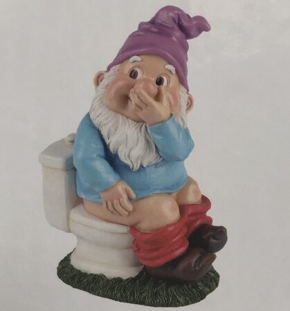 Toilet Gnome