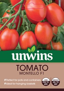 Tomato (Cherry Plum) Montello F1