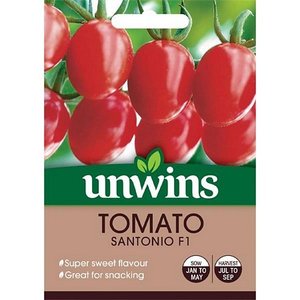 Tomato (Plum) Santonio F1