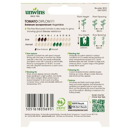 Tomato (Salad) Diplom F1 (Organic) - image 2