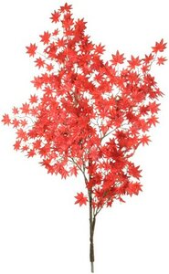 Tree component (acer branch)