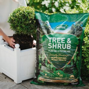Tree & Shrub Planting Peat Free Mix