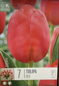 TUL RED x7