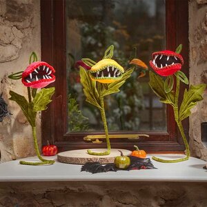 Tulip Terror! - 75cm, Mixed Case