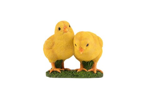 Two Chicks