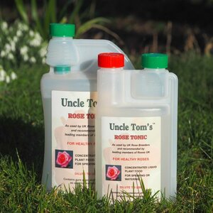 Uncle Tom's Rose Tonic 500ML