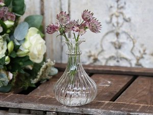 Glass Vase