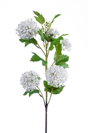 Viburnum spray 75cm cream