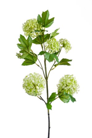 Viburnum spray 75cm lt green