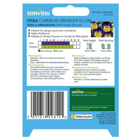 Viola Carneval Midnight Glow F1 - image 2