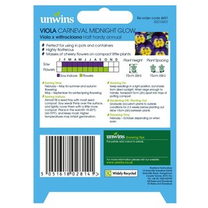 Viola Carneval Midnight Glow F1 - image 2