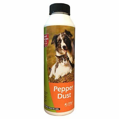 Pepper Dust