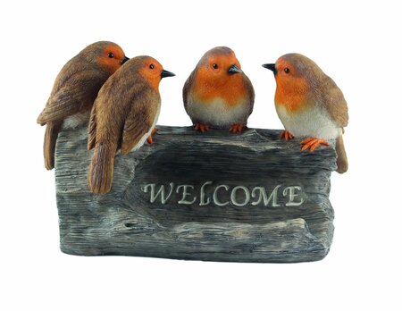 Welcome Robins