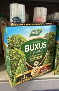 Westland 2 in1 Feed and Protect Buxus 2 x 500ml
