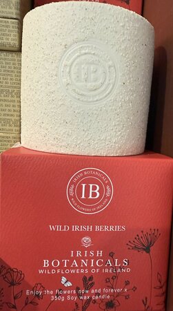 WILD IRISH BERRY CERAMIC CANDLE