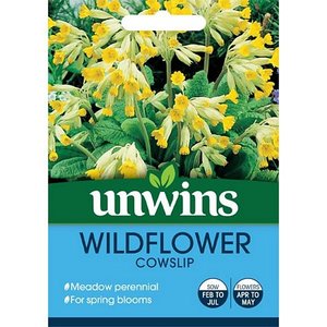 Wildflower Cowslip