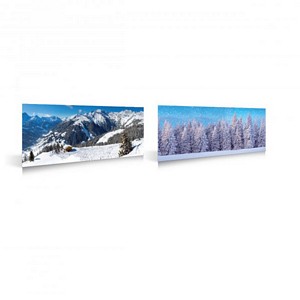 Winter Sport Forest Background 2 Sided