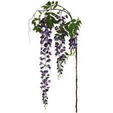 Wisteria branch lt purple