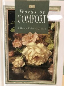 Words Of Comfort - image 2