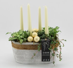 X-mas arrangement²