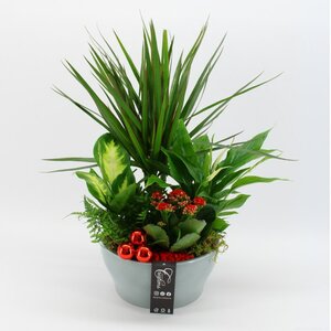 X-mas arrangement²