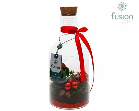 X-mas arrangement⁴  Bottle 14 cm