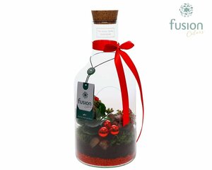X-mas arrangement⁴  Bottle 14 cm