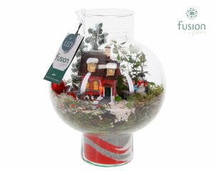 X-mas arrangement⁴ Bottle 20 cm