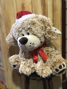 Xmas Dog Teddy