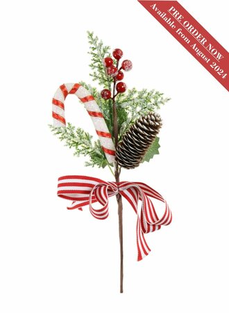 XMAS PINECONE, BOW & CANDYCANE PIC