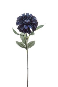 Zinnia spray deep blue